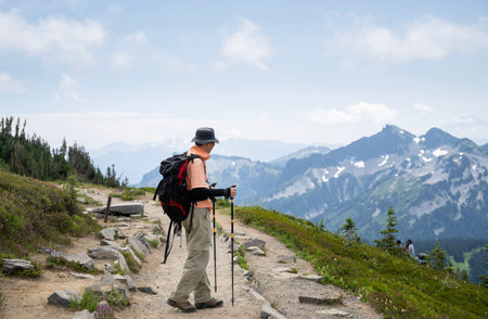 Hiking Skyline Loop Trail in summer. Unrecognizable people on the trail. Mt Rainier National Park. Washington State.の写真素材