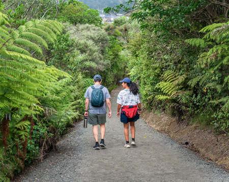 Couple walking in the forest with ferns on the side of the path. Long Bay Coastal Okura Track. Auckland.の写真素材