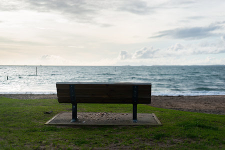 Empty bench on an empty beach. Auckland.の写真素材