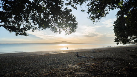 Pohutukawa trees framing the sunrise over Rangitoto Island. Unrecognizable people and dogs playing on the beach. Milford Beach. Auckland.の写真素材