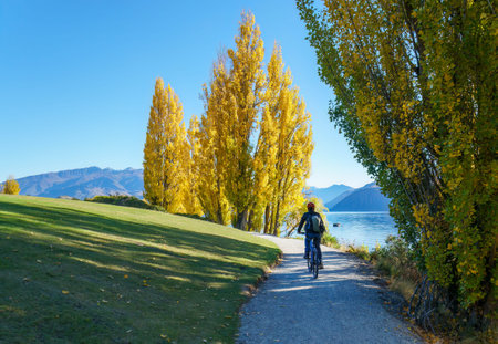 Tourist riding the bike on the Millennium track along the Wanaka lakeside. Autumn in Wanaka. New...