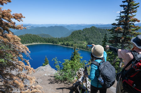 Pine trees are turning brown. Couple taking smartphone photos of Summit lake. Mt Rainier National Park. Washington State.の写真素材