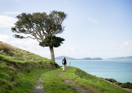 Man walking on the coastal walkway in Duder Regional Park. Auckland.