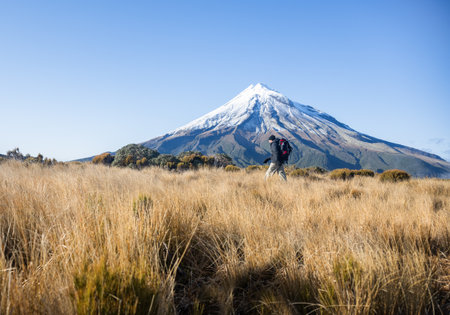 A backpacker hiking the Pouakai circuit among golden tussocks. Snow-capped Mt Taranaki in the background. New Zealand.の写真素材