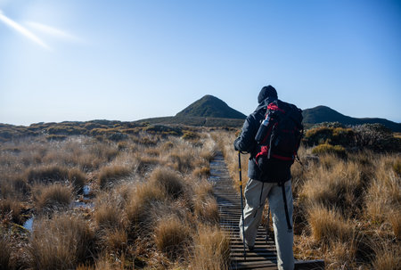 A backpacker hiking Pouakai circuit, walking on boardwalk among golden tussocks. Egmont National park. New Zealandの写真素材
