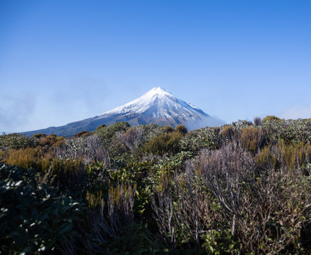 View of Mt Taranaki from Pouakai Circuit Track. Egmont National park. New Zealand.の写真素材
