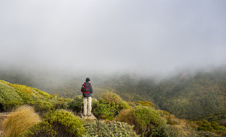 Backpacker enjoying the views of mountains in the clouds. Pouakai circuit. Egmont National park. New Zealand.の写真素材