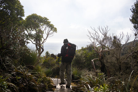Backpacker hiking the Pouakai circuit on boardwalk. Taranaki region in the distance. New Zealand.の写真素材