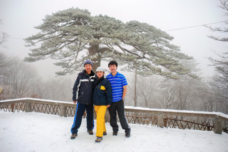 Tourists posing for photos in front of a pine tree at Mount Huangshan. Anhui province. China.の写真素材