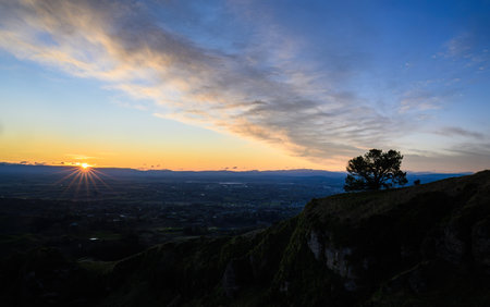 Big tree on Te Mata Peak at sunset. Hawkeâs Bay. New Zealand.の写真素材