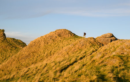 Photographer carrying a tripod and hiking on a mountain ridge. Te Mata Peak. Hawkeâs Bay.の写真素材