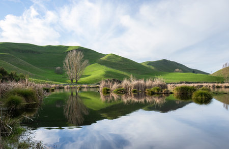 Rolling hills reflected in the waters of Pekapeka Wetlands. Hastings. Hawkeâs Bay. New Zealand.の写真素材