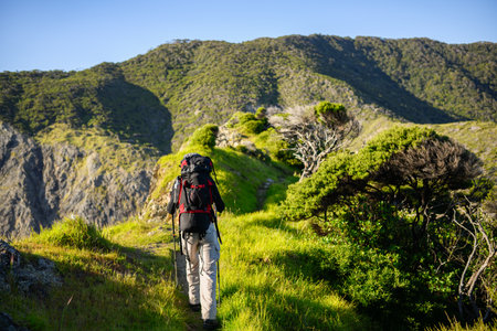 A backpacker hiking Cape Brett Track. Bay of Islands.の写真素材