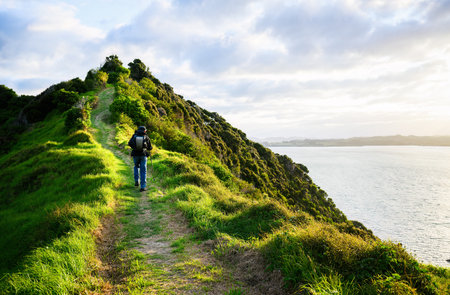 Man walking on Tapeka Point Track. Russell. Bay of Islands.の写真素材