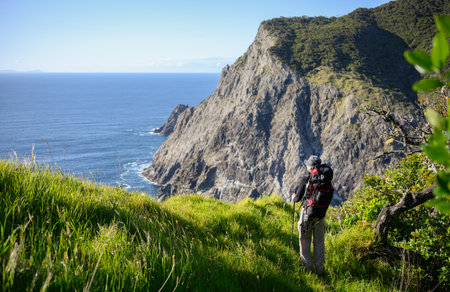 Backpacker hiking Cape Brett Track. Bay of Islands.の写真素材