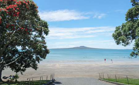 Rangitoto Island framed by Pohutukawa blooms. Unrecognizable people playing on the beach in summer....