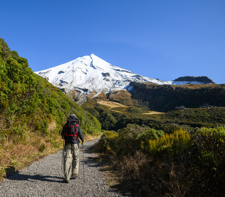 Tourist hiking Manganui Gorge Track with Snow-capped Mt Taranaki in the background. Taranaki. New Zealand.の写真素材
