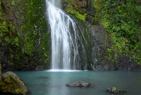 Kitekite Falls. Waitakere Ranges Regional Park. Auckland.の写真素材