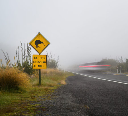 Kiwi Crossing at Night road sign by the side of road. Car light trail speeding past the sign in the...