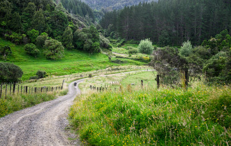 Man walking on the steep gravel track in the rural Taranaki. New Zealand.の写真素材