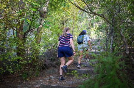 Two women hiking in the forest in summer.の写真素材