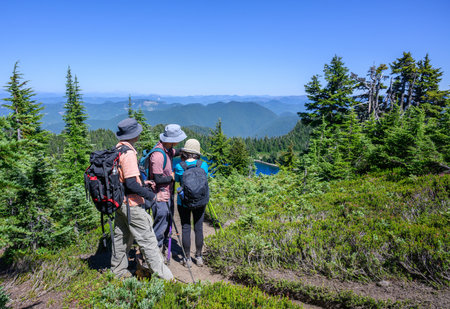 Three tourists checking on the map to get directions at Summit Lake trail. Mt Rainier National Park. Washington State. USA.の写真素材