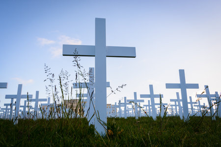 Low angle view of white crosses on Armistice Day commemoration. Auckland. New Zealand.の写真素材
