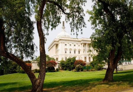 Capitol Hill is framed by green trees. Washington D.C.の写真素材