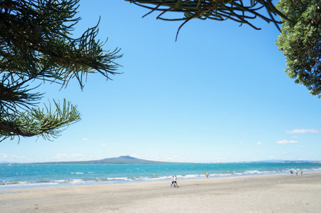 Rangitoto Island framed by Pohutukawa and pine trees. Unrecognizable people walking on the beach. Takapuna Beach. Auckland.の写真素材