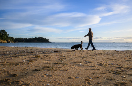 Man walking the dog on the beach in the morning. Milford Beach. Auckland.の写真素材
