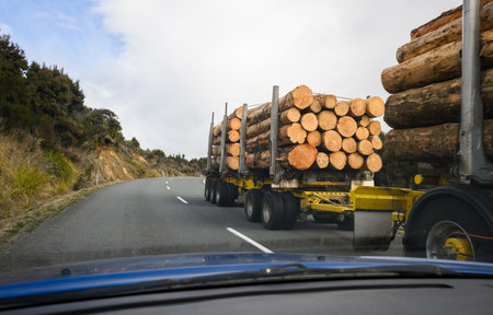 Timber logs carried by long heavy-duty truck on the winding road. North Island. New Zealand.の写真素材