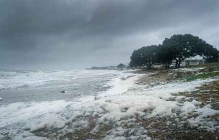 Strong winds send sea foam flying to the beach. Milford Beach. Auckland.の写真素材