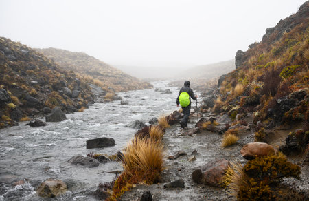 Tama Lake track flooded in the heavy rain. Man hiking along the river. Tongariro National Park. New Zealand.の写真素材