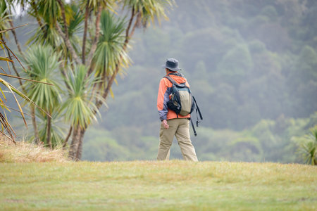 Tourist hiking among the cabbage trees with mountain in the background. Tongariro National Park. New...