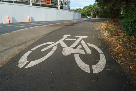 Painted bike on cycle lane. Traffic cones on the side of street. Auckland.の写真素材
