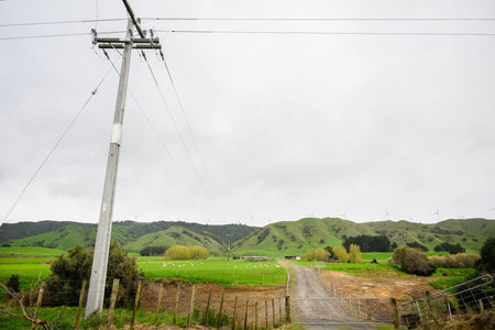 Power posts and power lines across the land. Sheep grazing on green farmland. Wind turbines on top...