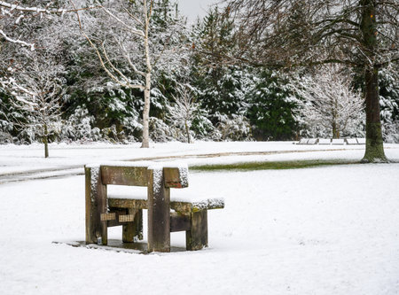 An empty bench covered by fresh snow. Canterbury. South Island.の写真素材