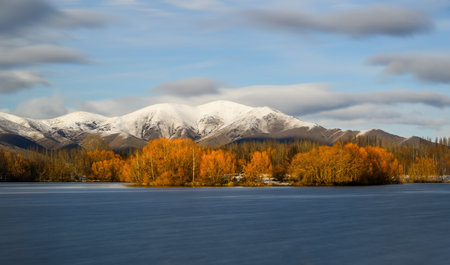 Autumn trees at Wairepo Arm, Lake Ruataniwha, Twizel, South Island.の写真素材