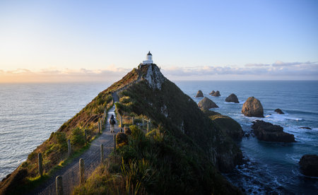 Tourist walking up to Nugget Point Lighthouse at sunrise. Catlins Coast. Otago. South Island. New Zealand.の写真素材