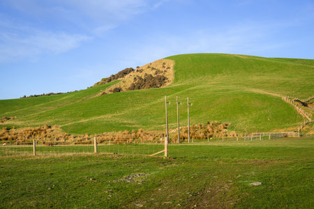 Power posts and power lines on green rolling hills. Catlins. Southland. New Zealand.の写真素材