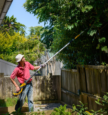 Man using a long chainsaw to trim the trees along the fence. Auckland.の写真素材