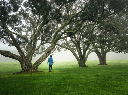 Woman walking among big Pohutukawa trees in the fog. Auckland.の写真素材