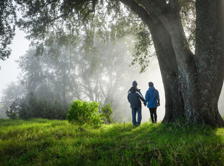 Couple holding hands and looking at views, sunrays shining through the fog. Mt Eden summit. Auckland.の写真素材