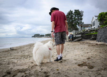 Man walking the dog on the beach. Unrecognizable people enjoying the beach.の写真素材