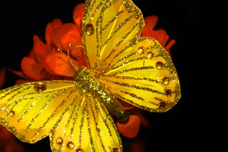 Butterfly decoration on a flowerの写真素材
