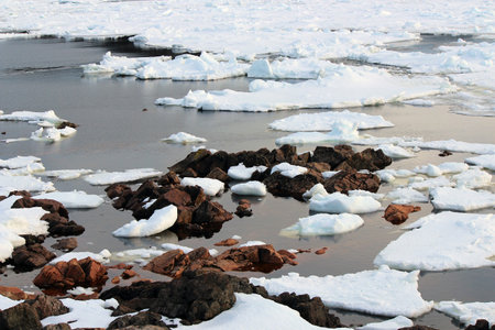 Ice Pieces and Rocks