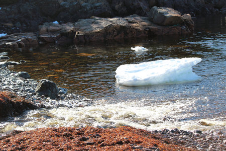 Ice Near the Shore