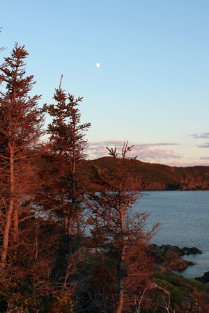 Evening landscape and the moonの写真素材