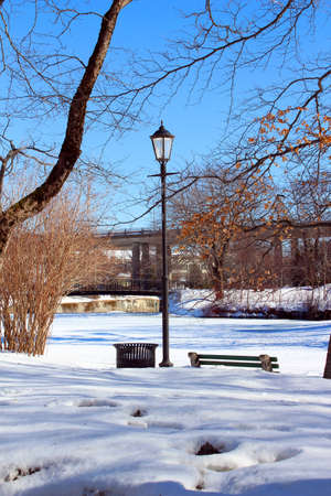 Lamp post at the park in winterの写真素材