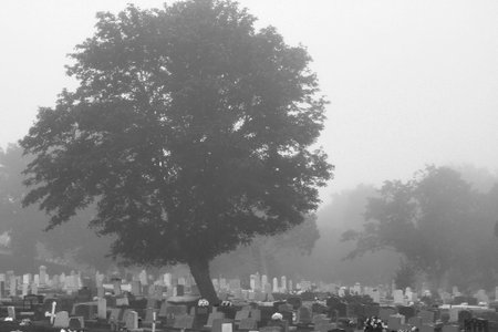 Cemetery - Black and White